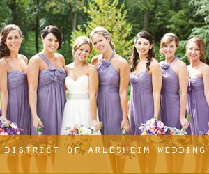 District of Arlesheim wedding