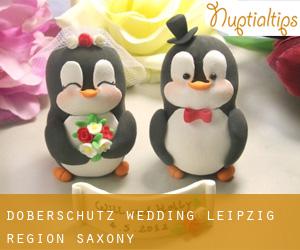 Doberschütz wedding (Leipzig Region, Saxony)