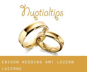 Ebikon wedding (Amt Luzern, Lucerne)