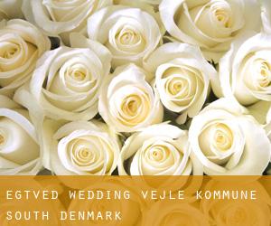 Egtved wedding (Vejle Kommune, South Denmark)