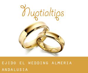 Ejido (El) wedding (Almeria, Andalusia)