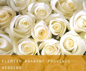Flemish Brabant Province wedding