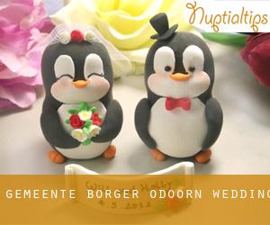 Gemeente Borger-Odoorn wedding