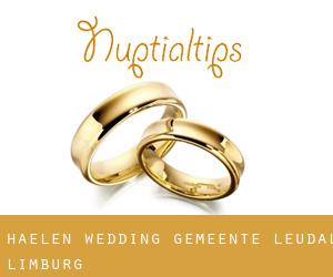 Haelen wedding (Gemeente Leudal, Limburg)