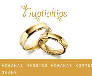 Höganäs wedding (Höganäs Kommun, Skåne)
