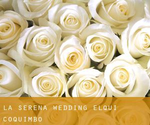 La Serena wedding (Elqui, Coquimbo)