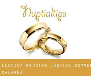 Ludvika wedding (Ludvika Kommun, Dalarna)