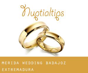 Mérida wedding (Badajoz, Extremadura)