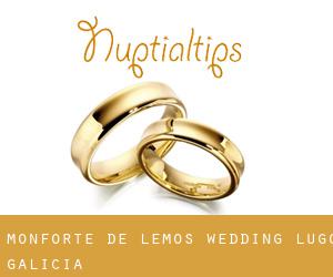 Monforte de Lemos wedding (Lugo, Galicia)