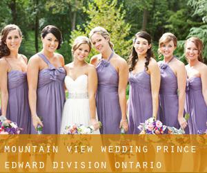 Mountain View wedding (Prince Edward Division, Ontario)