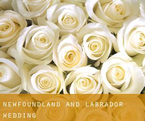 Newfoundland and Labrador wedding