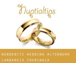 Nöbdenitz wedding (Altenburg Landkreis, Thuringia)