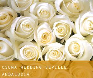 Osuna wedding (Seville, Andalusia)