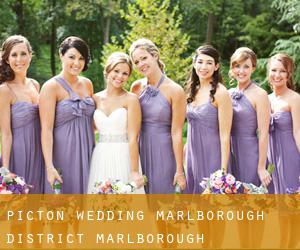 Picton wedding (Marlborough District, Marlborough)