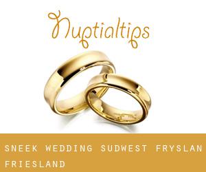 Sneek wedding (Sûdwest Fryslân, Friesland)