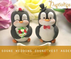 Søgne wedding (Søgne, Vest-Agder)