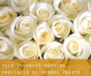 Velo Veronese wedding (Provincia di Verona, Veneto)