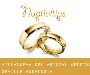 Villanueva del Ariscal wedding (Seville, Andalusia)