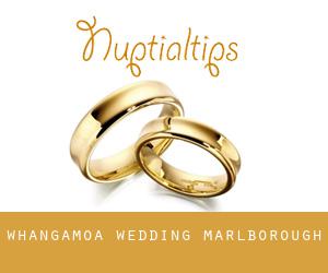 Whangamoa wedding (Marlborough)